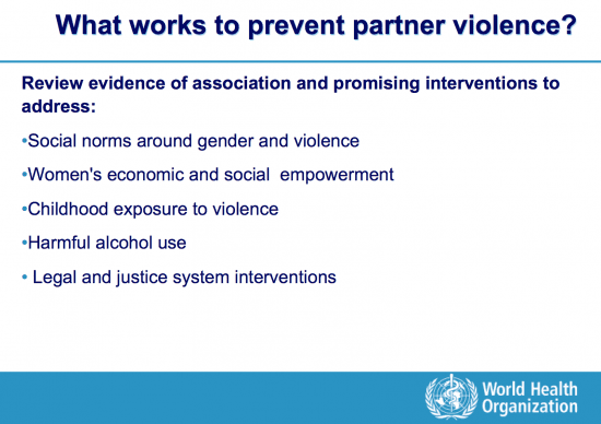 Holistic approach to preventing violence against women and girls