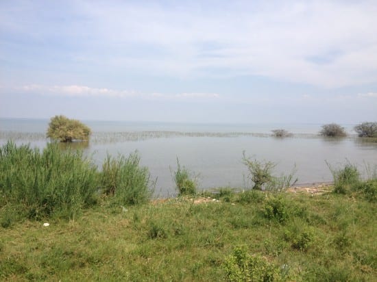 Lake Tanganyika, Bujumbura