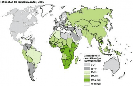 Global disease burden caused by TB