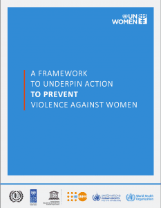 A framework to underpin action to prevent VAW