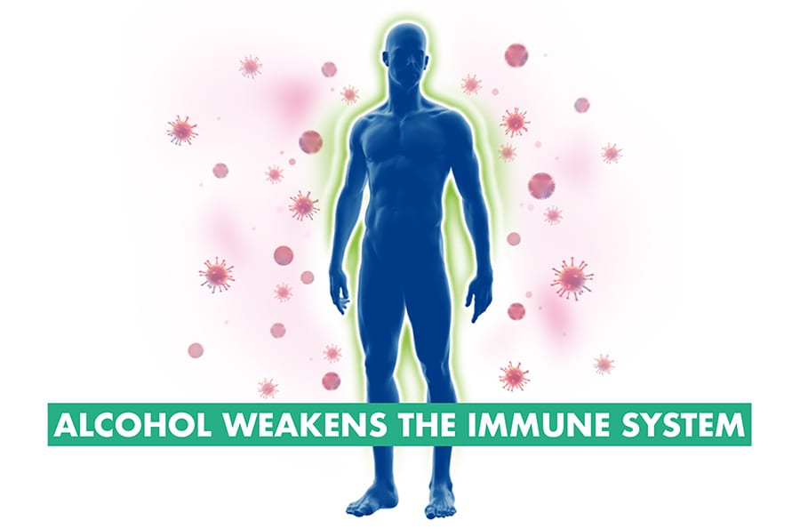 Unveiling the Immune System